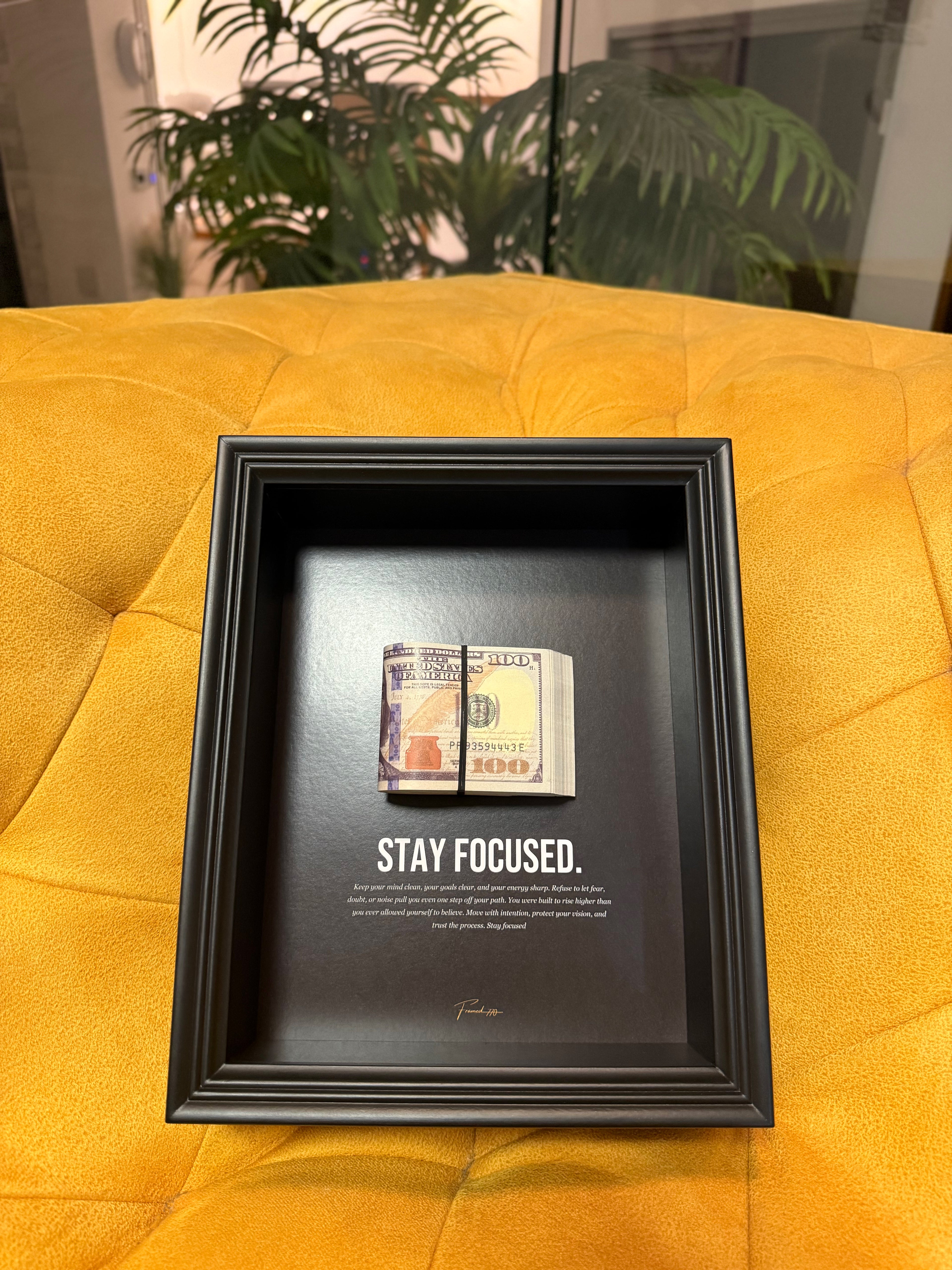 Stay Focused - USD stack Edition